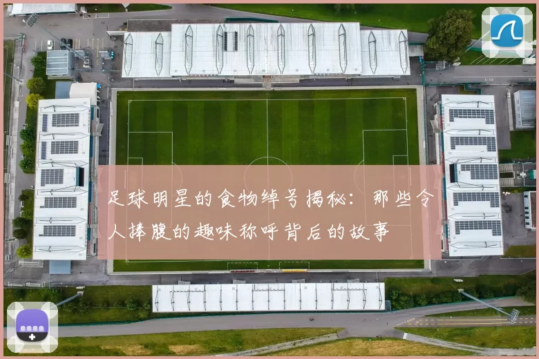 足球明星的食物绰号揭秘：那些令人捧腹的趣味称呼背后的故事