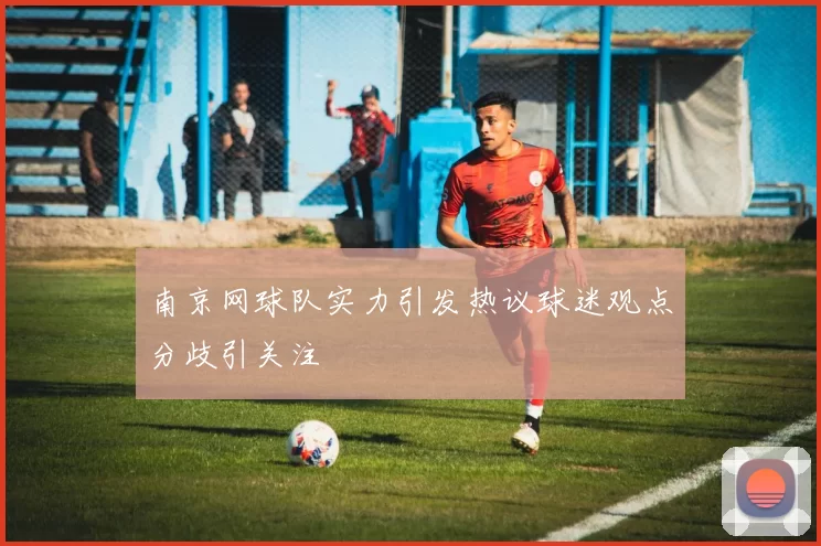 南京网球队实力引发热议球迷观点分歧引关注