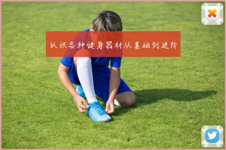 认识各种健身器材从基础到进阶