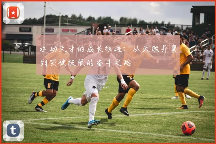 运动天才的成长轨迹：从天赋异禀到突破极限的奋斗之路