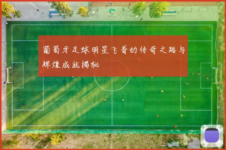 葡萄牙足球明星飞哥的传奇之路与辉煌成就揭秘