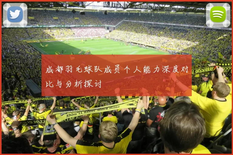 成都羽毛球队成员个人能力深度对比与分析探讨