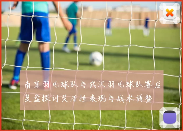 南京羽毛球队与武汉羽毛球队赛后复盘探讨灵活性表现与战术调整