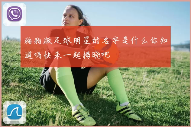 狗狗版足球明星的名字是什么你知道吗快来一起揭晓吧