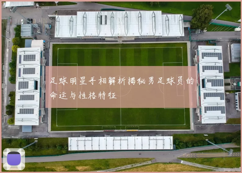 足球明星手相解析揭秘男足球员的命运与性格特征