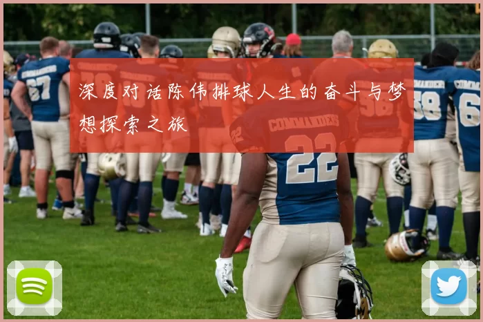 深度对话陈伟排球人生的奋斗与梦想探索之旅