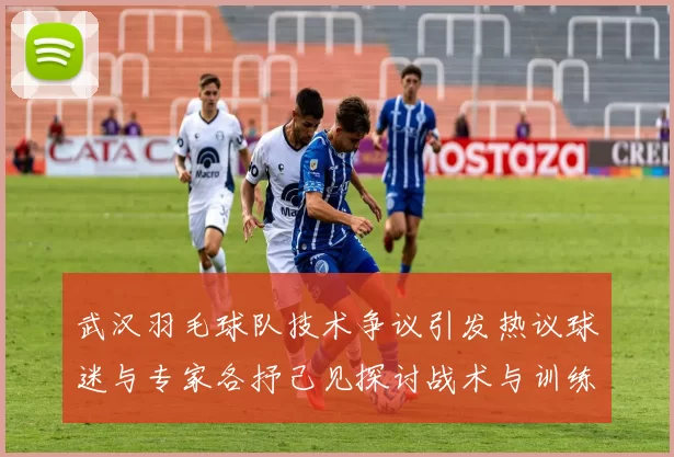 武汉羽毛球队技术争议引发热议球迷与专家各抒己见探讨战术与训练问题