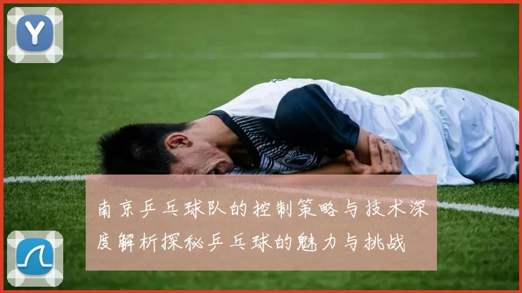 南京乒乓球队的控制策略与技术深度解析探秘乒乓球的魅力与挑战