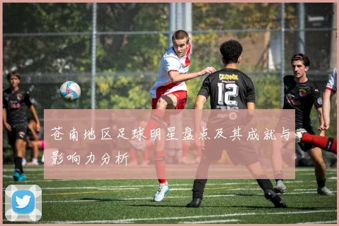 苍南地区足球明星盘点及其成就与影响力分析