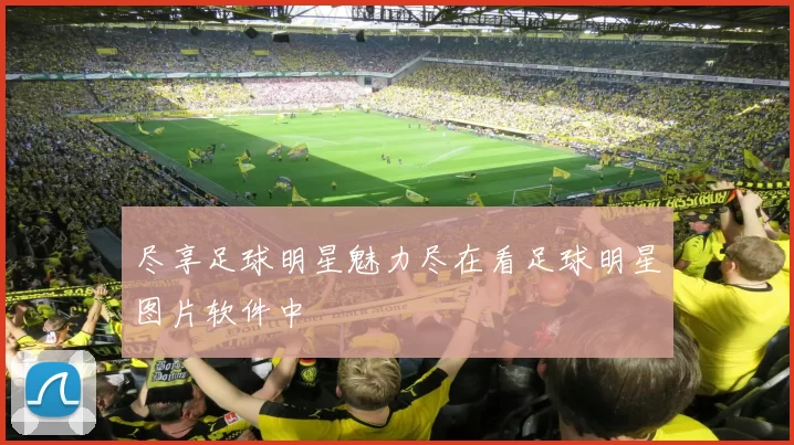 尽享足球明星魅力尽在看足球明星图片软件中