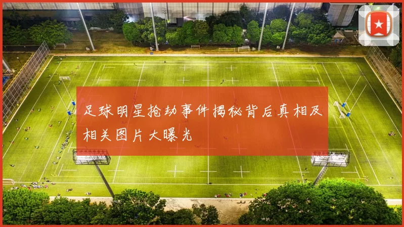 足球明星抢劫事件揭秘背后真相及相关图片大曝光