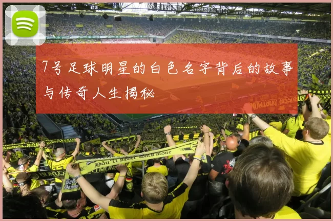 7号足球明星的白色名字背后的故事与传奇人生揭秘
