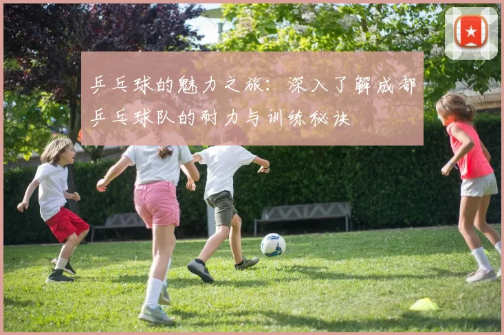 乒乓球的魅力之旅：深入了解成都乒乓球队的耐力与训练秘诀