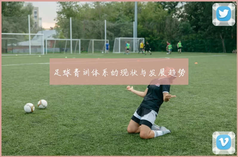 足球青训体系的现状与发展趋势