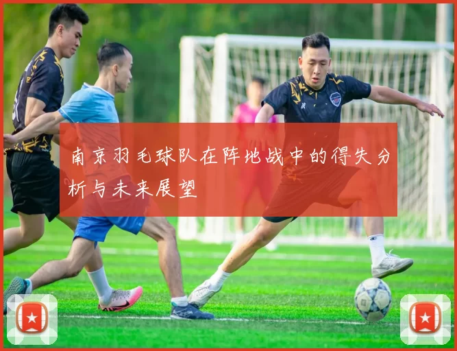南京羽毛球队在阵地战中的得失分析与未来展望