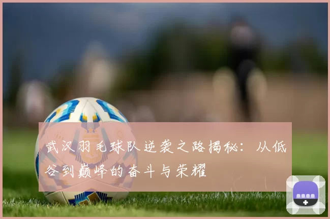武汉羽毛球队逆袭之路揭秘：从低谷到巅峰的奋斗与荣耀