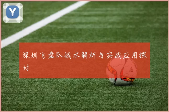 深圳飞盘队战术解析与实战应用探讨