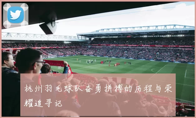 杭州羽毛球队奋勇拼搏的历程与荣耀追寻记