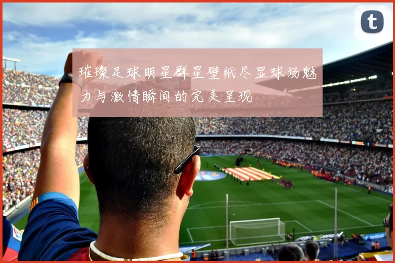 璀璨足球明星群星壁纸尽显球场魅力与激情瞬间的完美呈现