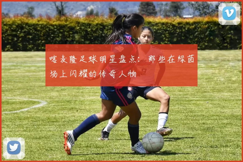 喀麦隆足球明星盘点：那些在绿茵场上闪耀的传奇人物