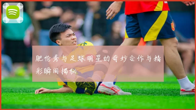 肥伦秀与足球明星的奇妙合作与精彩瞬间揭秘