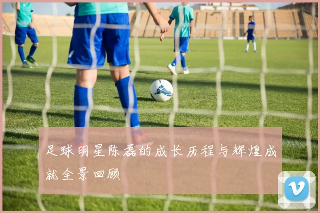 足球明星陈磊的成长历程与辉煌成就全景回顾